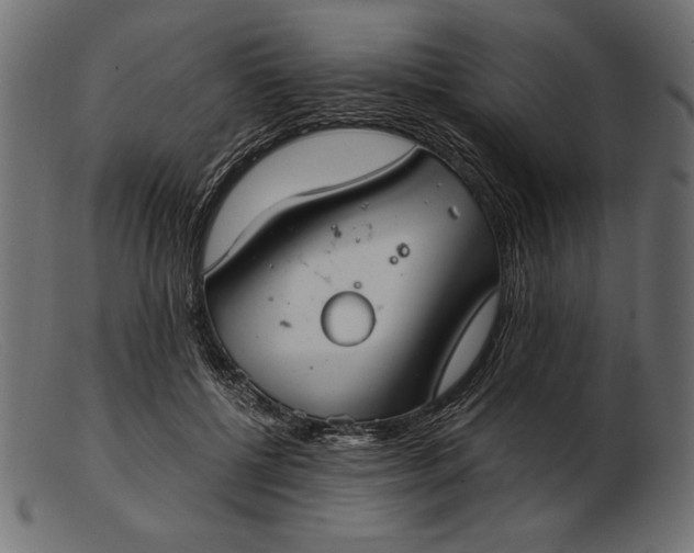 X0000103220552200809111510