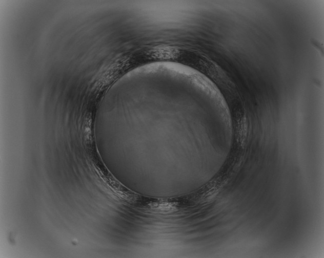 X0000103220553200809111510