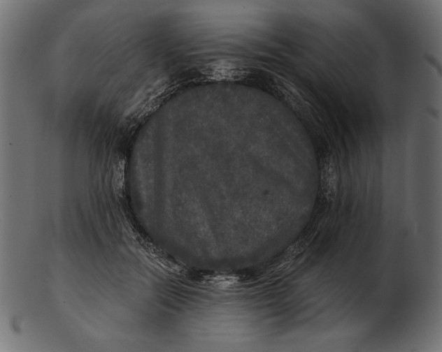 X0000103220554200809111510