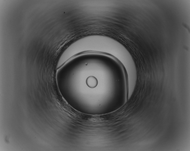 X0000103220556200809111510