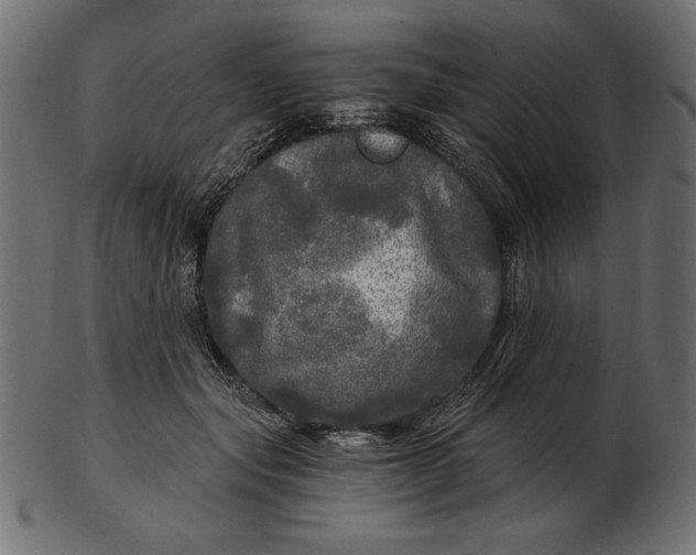 X0000103220557200809111510