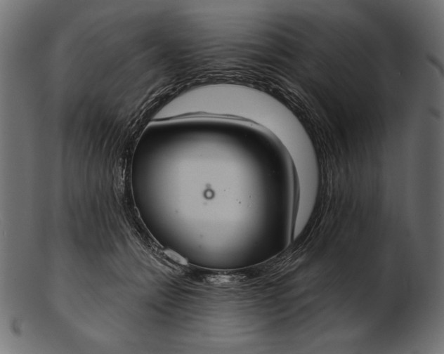 X0000103220558200809111510