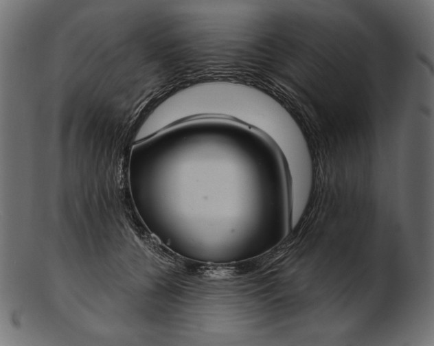 X0000103220560200809111510