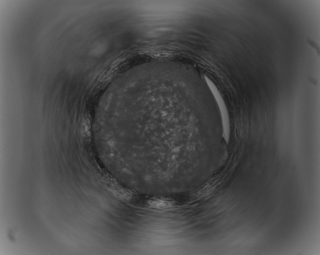 X0000103220561200809111510