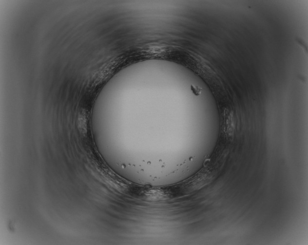 X0000103220562200809111510