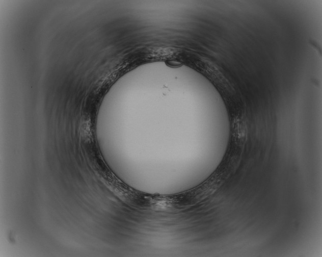 X0000103220564200809111510