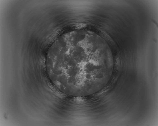 X0000103220565200809111510