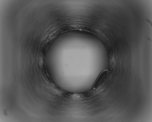 X0000103220566200809111510