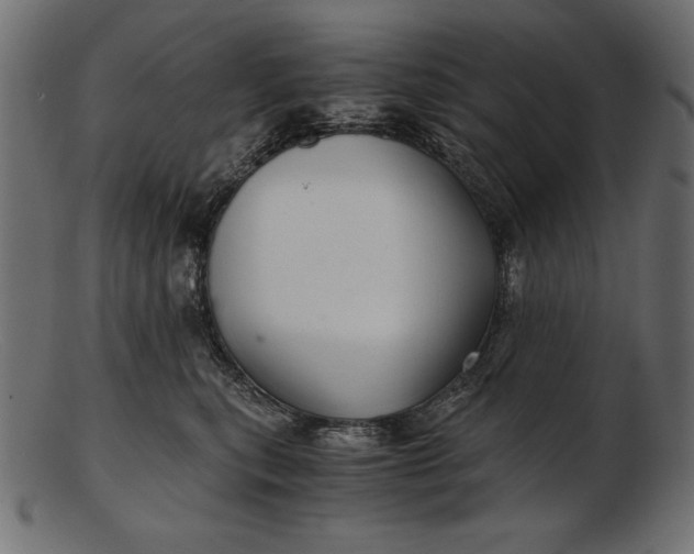 X0000103220567200809111510