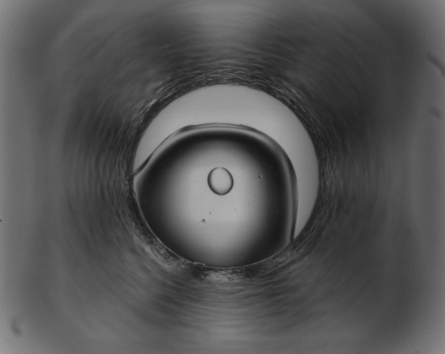 X0000103220568200809111510