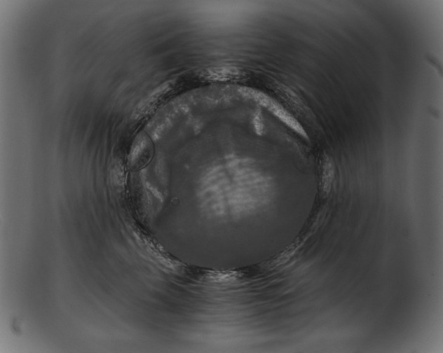 X0000103220569200809111510