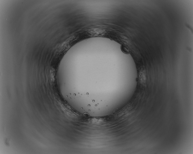 X0000103220570200809111510