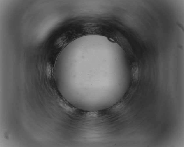 X0000103220574200809111510