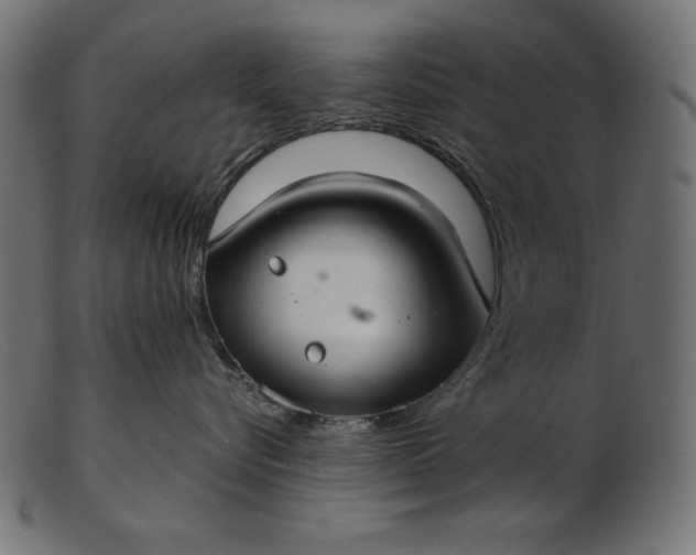 X0000103220576200809111510