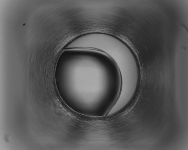 X0000103220577200809111510