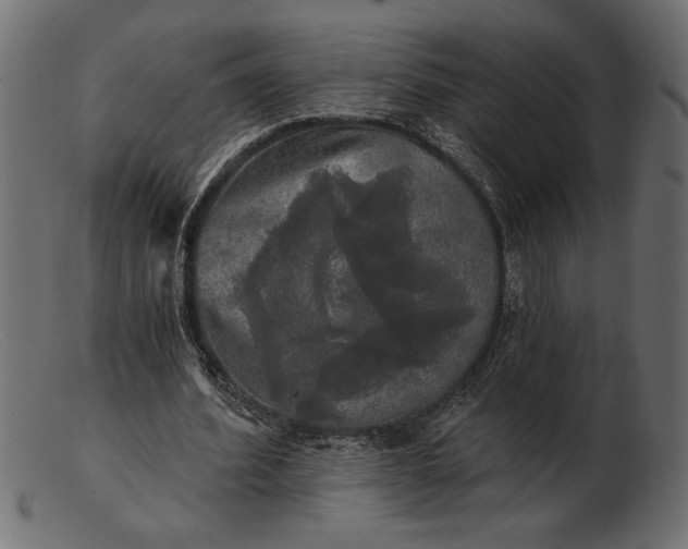 X0000103220580200809111510