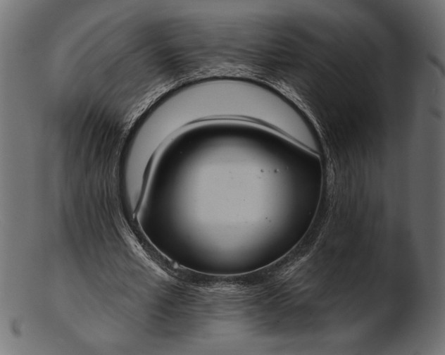 X0000103220581200809111510