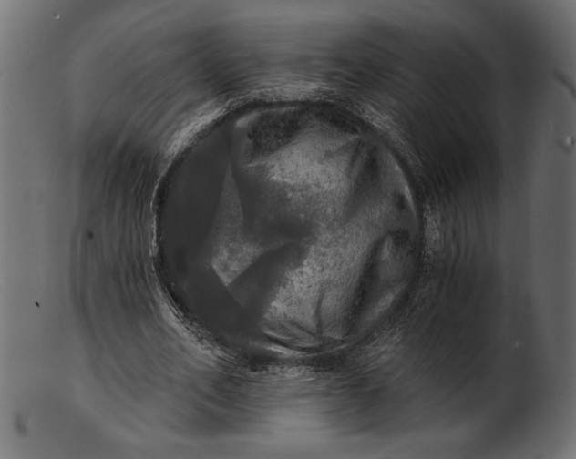 X0000103220582200809111510