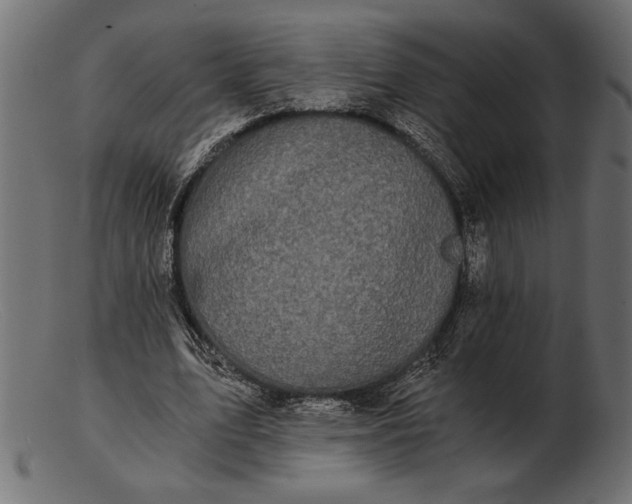 X0000103220583200809111510