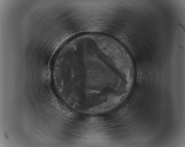 X0000103220584200809111510