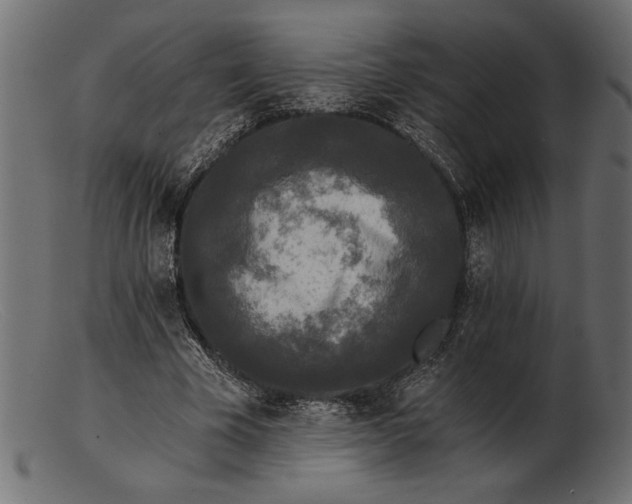 X0000103220585200809111510