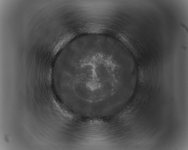 X0000103220586200809111510