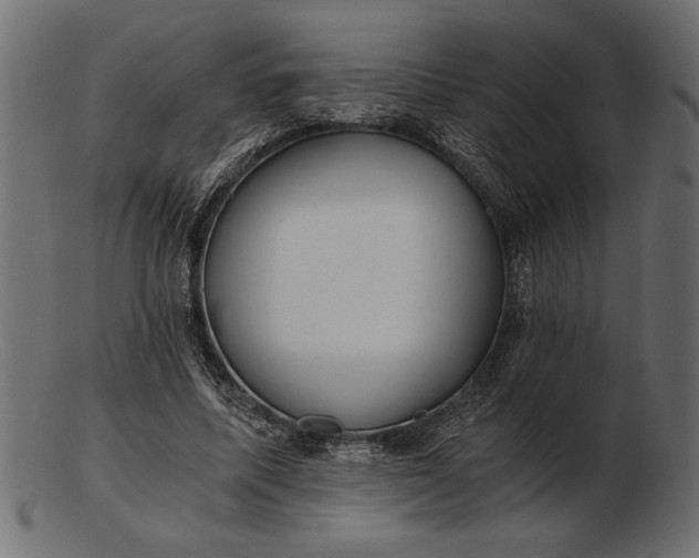 X0000103220587200809111510