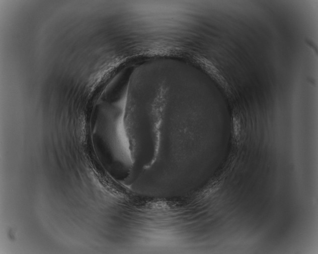 X0000103220588200809111510