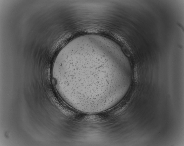 X0000103220589200809111510