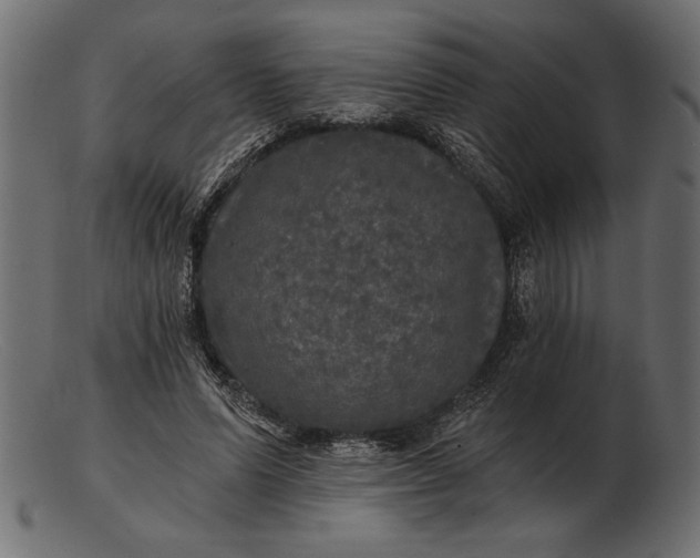 X0000103220591200809111510