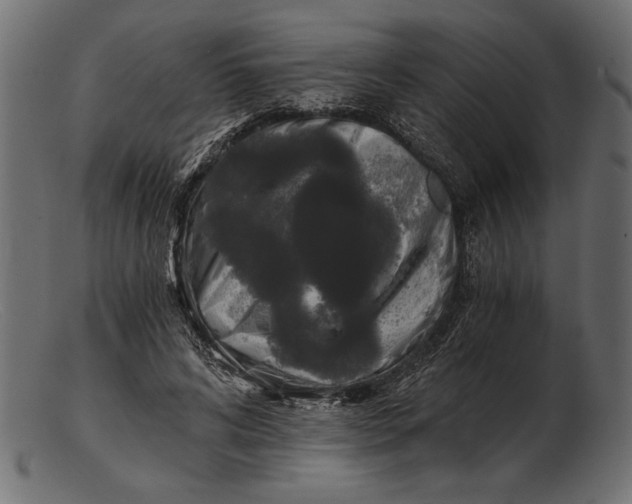 X0000103220592200809111510