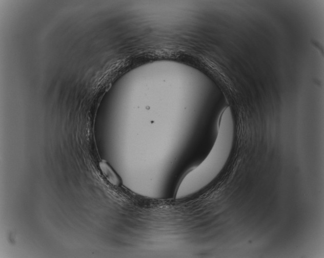 X0000103220593200809111510