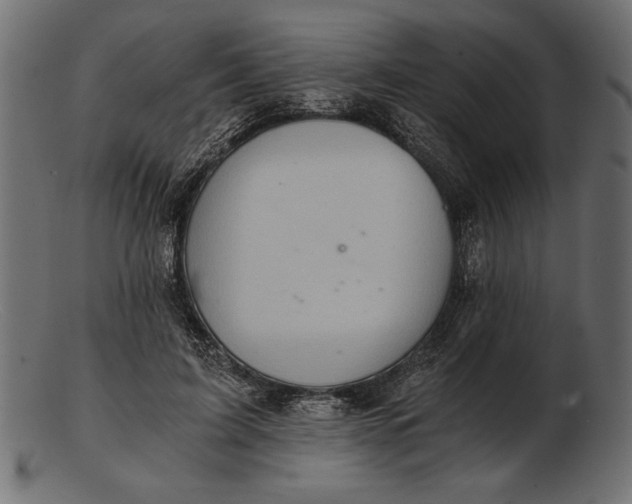 X0000103220595200809111510