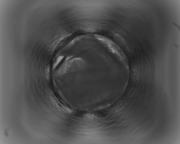 X0000103220596200809111510