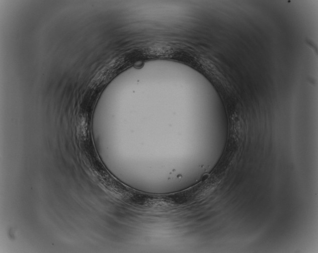 X0000103220597200809111510