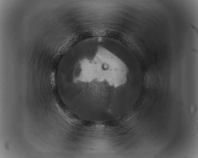 X0000103220598200809111509