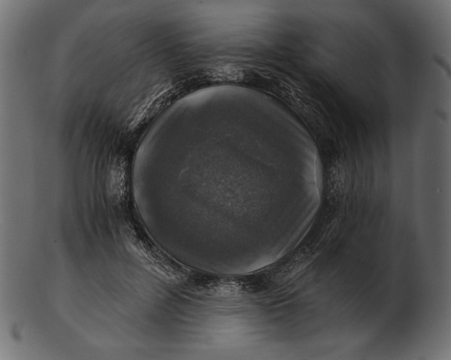 X0000103220600200809111509