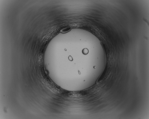 X0000103220601200809111509