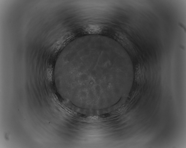 X0000103220604200809111509