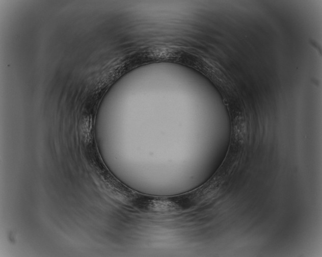 X0000103220605200809111509