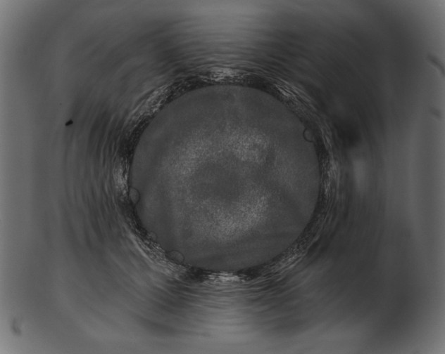 X0000103220607200809111509