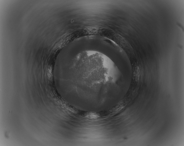 X0000103220610200809111509