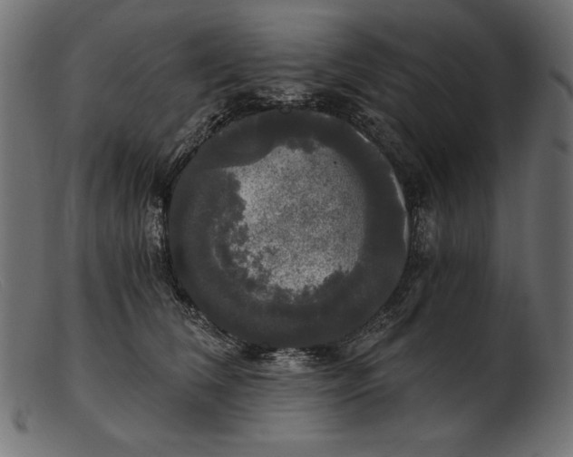 X0000103220612200809111509