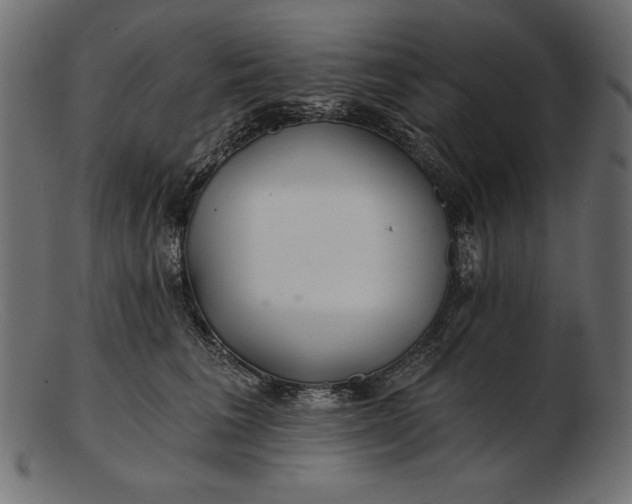 X0000103220613200809111509