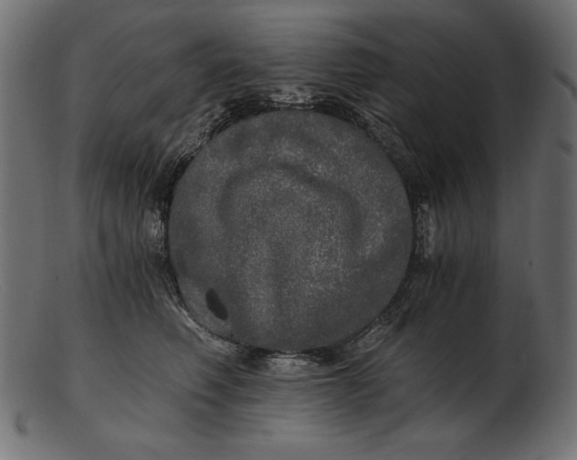 X0000103220614200809111509