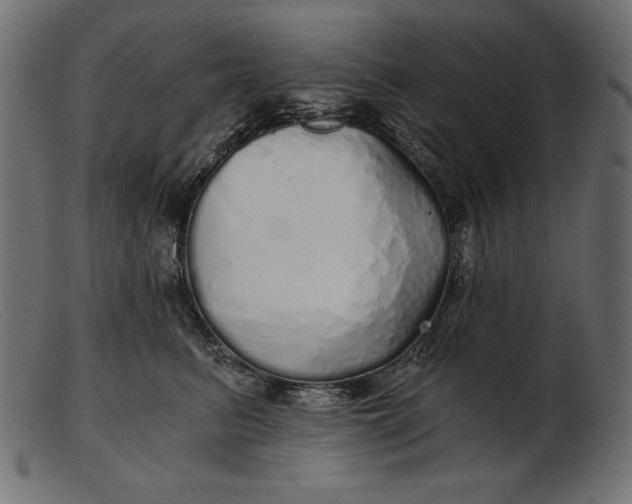 X0000103220615200809111509