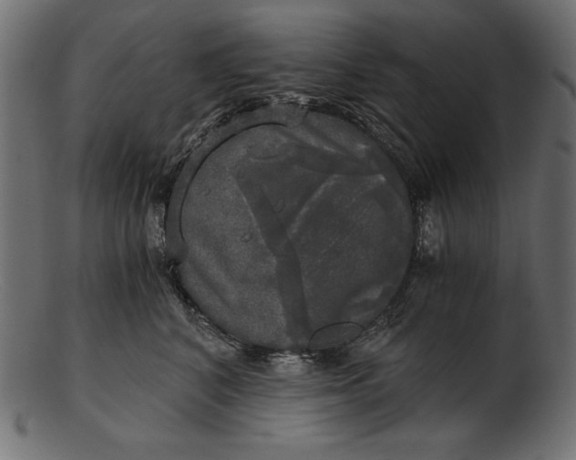 X0000103220616200809111509