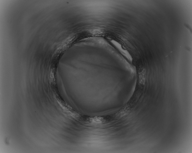 X0000103220618200809111509