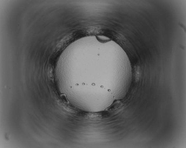 X0000103220619200809111509