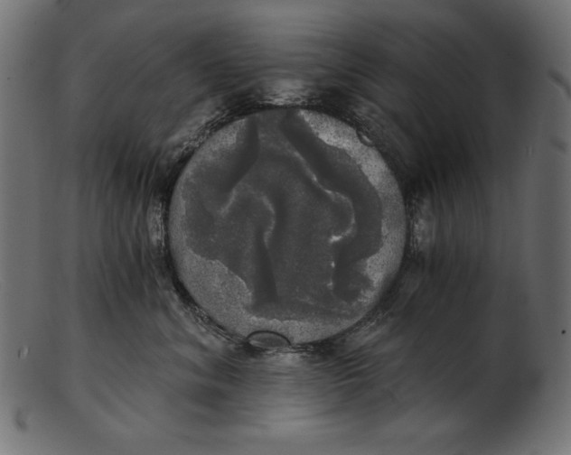 X0000103220620200809111509